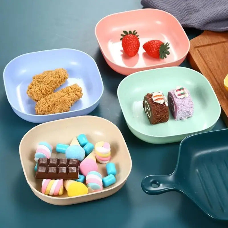 10 Square Portable Plastic Dinner Plates with 1 Holder