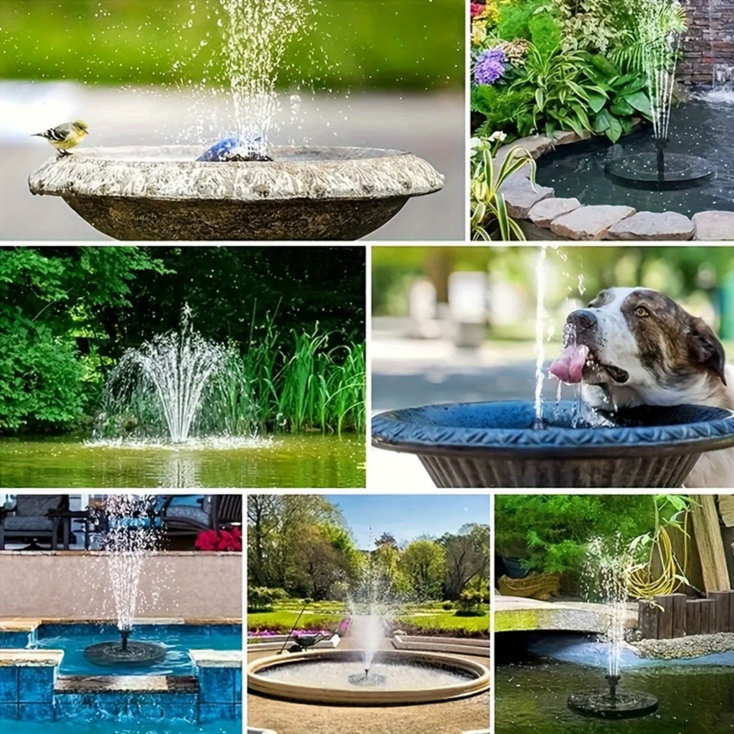 Solar Powered Water Fountain