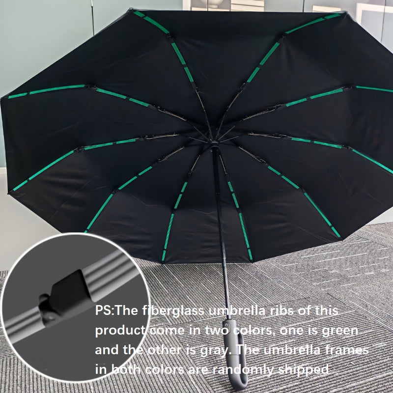Automatic Umbrella with 10-Rib Windproof Design