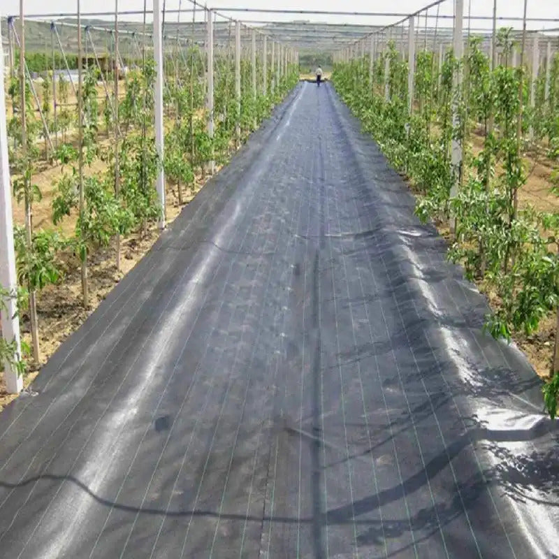 Heavy-Duty Weed Barrier Fabric - Durable Woven Landscape Mat
