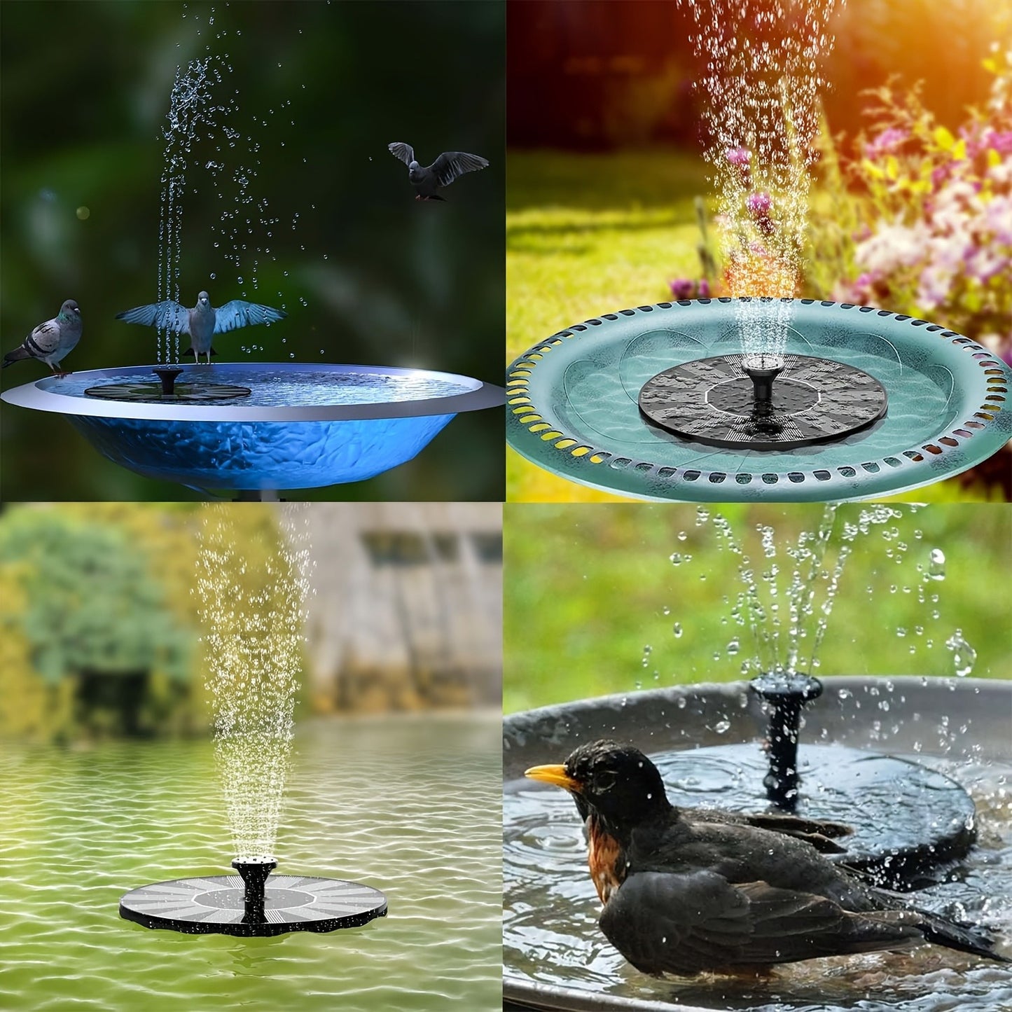 Solar Powered Water Fountain