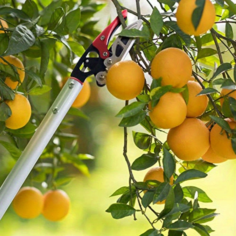 1-Pack Heavy-Duty 32" Long Reach Professional Gardening Shears