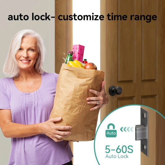 Smart Door Lock Handle with Voice Announcement & Wireless