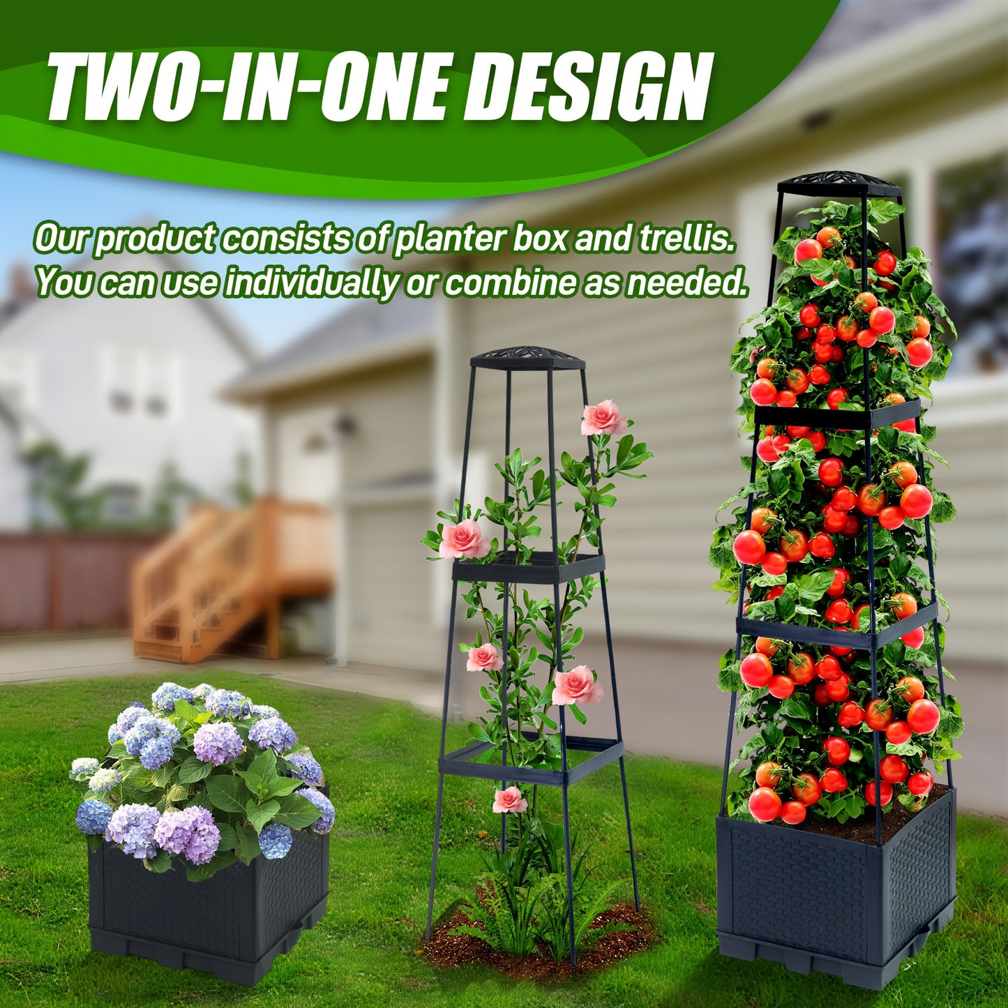 Tomato Planter Box