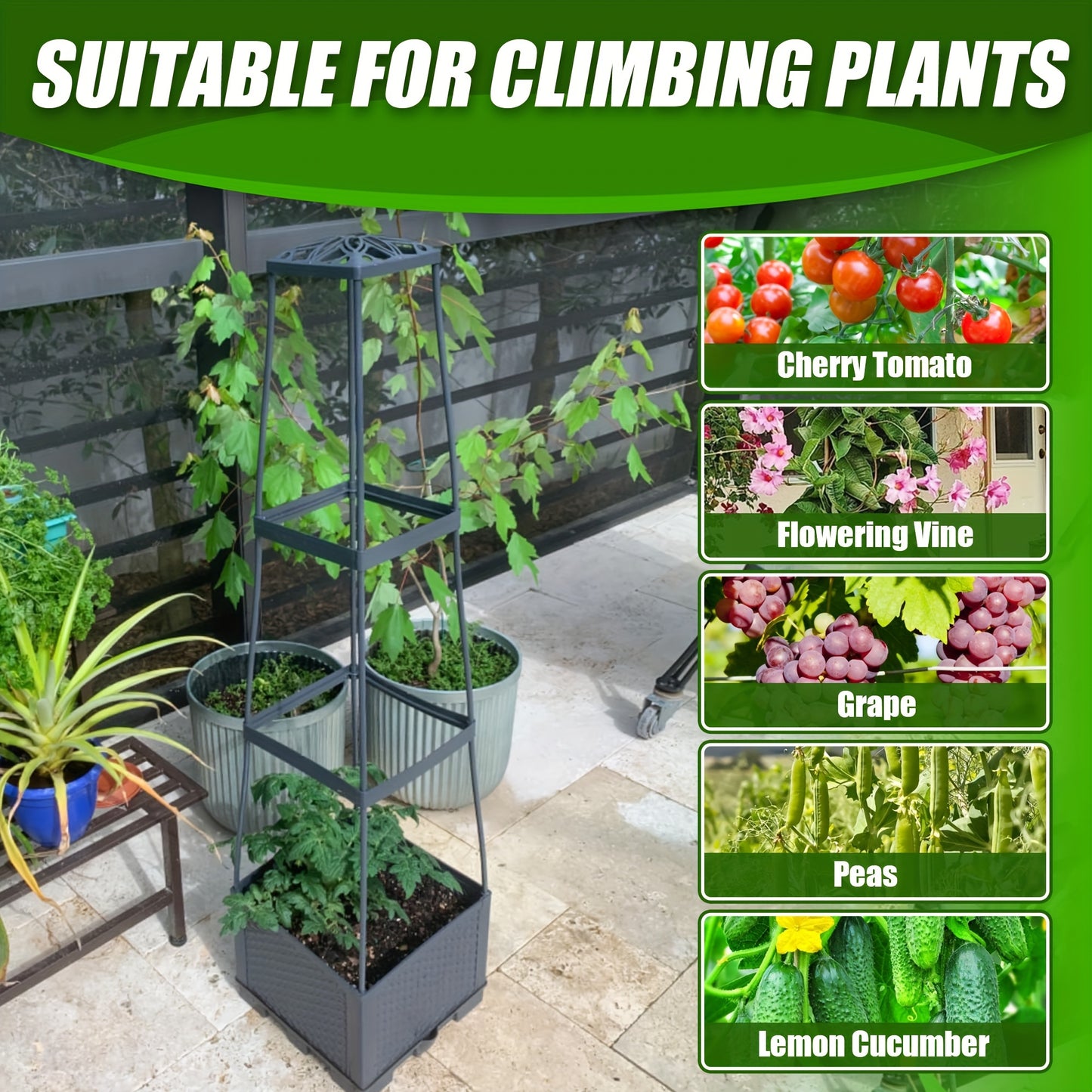 Tomato Planter Box